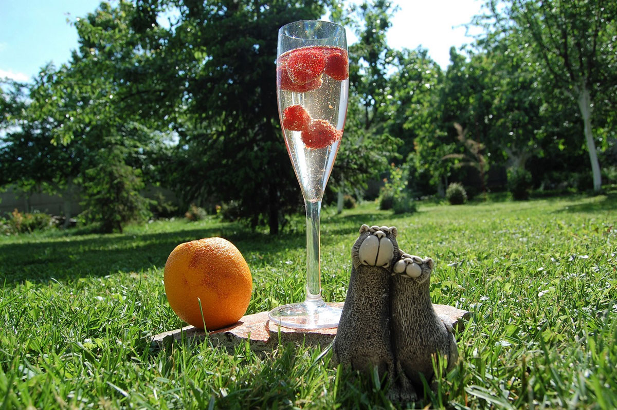 5 порад щодо вибору пластикового посуду